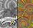 Between the Lines: An Expert Level Coloring Book Between the Lines: An Expert Level Coloring Book