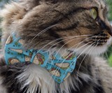 Bow Tie Cat Collars