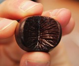 Edible Anus Chocolates