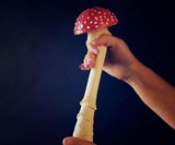 Stress Mushrooms