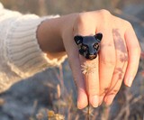 Good After Nine Animal Rings