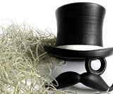 Top Hat & Face Planter