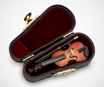 World's Smallest Violin