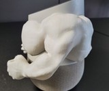 Google Home Muscles