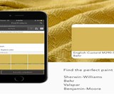 Color Muse for DIY Paint Match