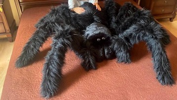 Giant Stuffed Tarantula