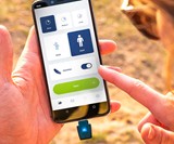 heat it Smartphone-Powered Bug Bite Healer