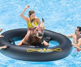 Inflat-A-Bull Pool Toy