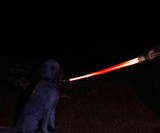 Star Wars Darth Vader Lightsaber Dog Leash