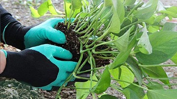 Garden Genie Gloves with Claws