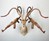 Armed Taxidermy Armed Taxidermy
