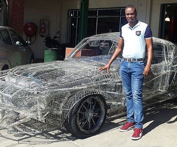 Wire Mustang
