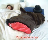 Horse Head Pillow