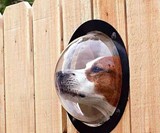 Pet Peek Dog Window