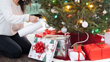 HoHoHoH2O Automatic Christmas Tree Watering System HoHoHoH2O Automatic Christmas Tree Watering System