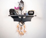 Bat Shelf