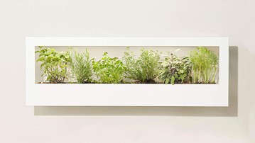 Modern Sprout Growframes - Wall-Mounted Grow Lights