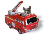 Cardboard Cat Playhouses