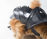 3D Printed Cat Armor