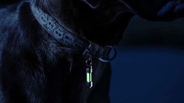 Glow Rhino Tritium EDC Gear Glow Rhino Tritium EDC Gear
