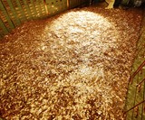 Fully Stocked Swiss Bank Safe