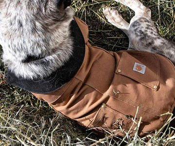 Carhartt Firm Duck Insulated Dog Chore Coat