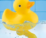 Duck with a D*ck