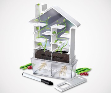 Maze Planter DIY Build & Grow Botany Kit