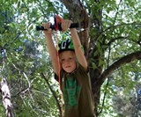 Slackers Backyard Zip Lines