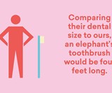 The Scale of Things