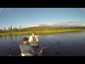 Flycraft Stealth