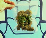 Smelly Proof Heavy Duty No-Odor Reusable Baggies
