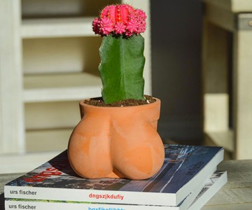 TERRACOCK'n'BALLS Planter TERRACOCK'n'BALLS Planter