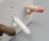 Penis Light Switch Cover