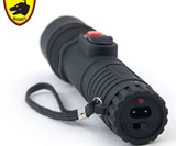 6,000,000-volt Flashlight Stun Gun