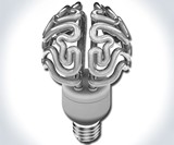 Insight - The Brain Bulb