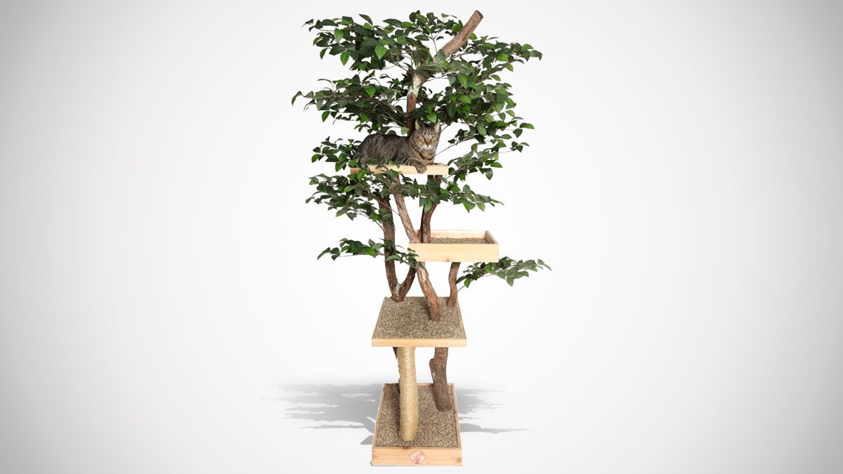 Sycamore Cat Tree House Sycamore Cat Tree House