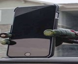 Severed Zombie Hand Phone Mount
