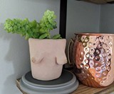 Boob Pots (NSFW)