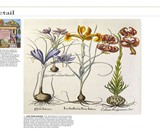 Remarkable Books - Beautiful & Historic Works