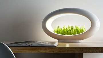 Grasslamp Modern Desktop Garden