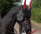Custom Leather Dragon Mask for Horses