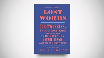 The Little Book of Lost Words The Little Book of Lost Words