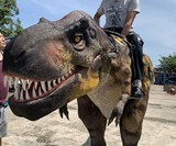 Giant Ride-On T-Rex Costume