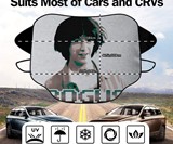 Keanu Reeves Bill & Ted Car Windshield Snow Cover