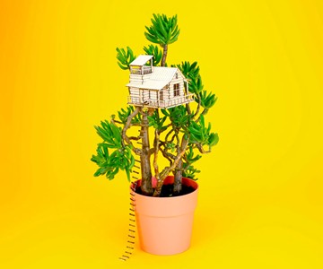 Plant-House Houseplant Treehouse Plant-House Houseplant Treehouse
