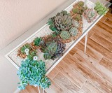 BloomingTables Living Furniture