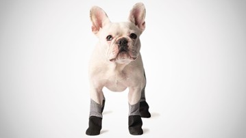 Walkee Paws Waterproof Dog Leggings Walkee Paws Waterproof Dog Leggings