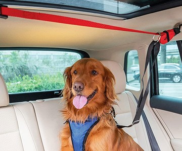 Happy Ride Backseat Dog Zipline Happy Ride Backseat Dog Zipline