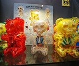 Anatomical Gummi Bears
